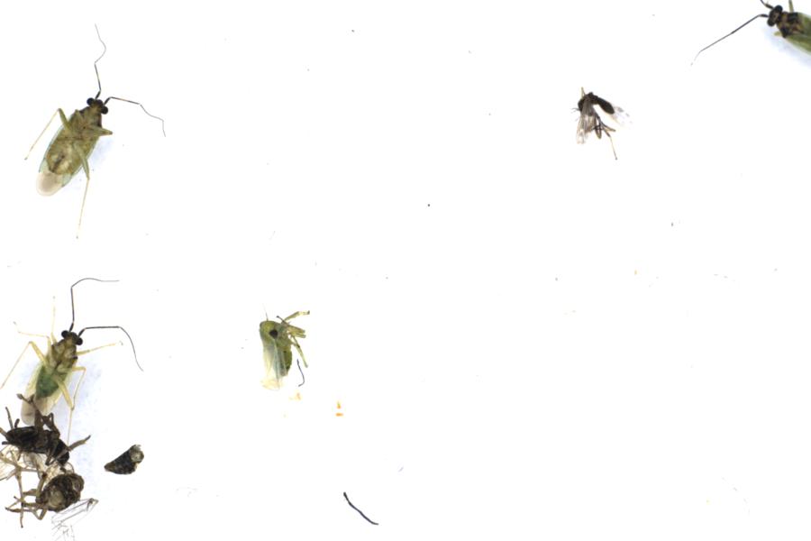 Image 18